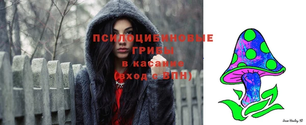 мдпв Саяногорск