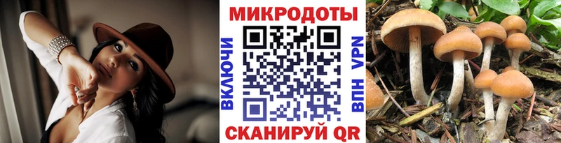 Псилоцибиновые грибы GOLDEN TEACHER  Аркадак 